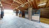 5008 Steele Village Road - Photo 47