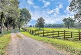5008 Steele Village Road - Photo 48