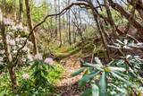12 Bird Creek Estates Road - Photo 38