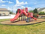 1141 Black Walnut Road - Photo 29