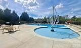 1141 Black Walnut Road - Photo 30