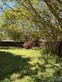 113 Old Willow Road - Photo 15
