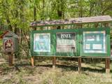 462 Deep Woods Lane - Photo 36