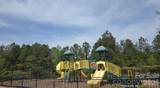 1745 Loggerhead Drive - Photo 47