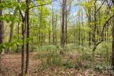 10601 Wildlife Road - Photo 6