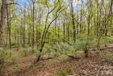 10601 Wildlife Road - Photo 8