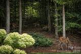 14850 Belleglade Trail - Photo 42