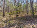 306 Cedar Creek Farm Road - Photo 8