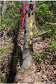 2687 Indian Grave Road - Photo 29