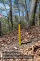 2687 Indian Grave Road - Photo 30