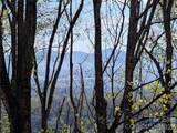 4 Wild Dogwood Trail - Photo 36