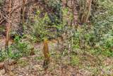 1100 Panther Branch Road - Photo 13