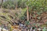 1100 Panther Branch Road - Photo 14