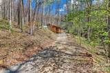 1100 Panther Branch Road - Photo 6