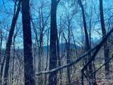 Lot 26 Red Hawk Bluff - Photo 14