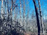 Lot 26 Red Hawk Bluff - Photo 19