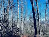 Lot 26 Red Hawk Bluff - Photo 20