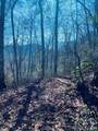 Lot 26 Red Hawk Bluff - Photo 8