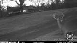 5780 Nc 16 Business Highway - Photo 38