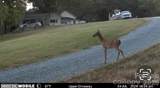 5780 Nc 16 Business Highway - Photo 39