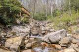 426 Cook Town Road - Photo 38