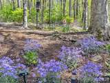 211 Rustic Road - Photo 42