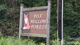 1730 Fox Hollow Road - Photo 9