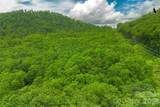 26 Robinson Creek Road - Photo 39
