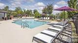 14325 Plantation Park Boulevard - Photo 11