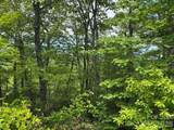 Lot 51B Wilderness Drive - Photo 11