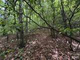 Lot 51B Wilderness Drive - Photo 7