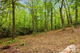 137 Bird Song Road - Photo 11
