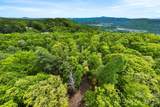 137 Bird Song Road - Photo 19