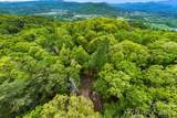 137 Bird Song Road - Photo 20