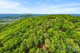 137 Bird Song Road - Photo 21