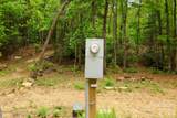 137 Bird Song Road - Photo 7