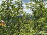 0 Azule Ridge - Photo 16