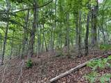 0 Azule Ridge - Photo 5