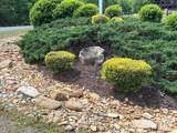 0 Azule Ridge - Photo 8