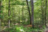 296 Broken Arrow Drive - Photo 11