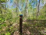 165 Wagon Wheel Way - Photo 10