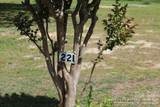 221 37th Street - Photo 11
