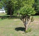 221 37th Street - Photo 10