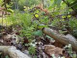 00000 Apple Farm Road - Photo 18