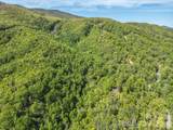 10.1 Acres on Old Fort Road - Photo 21
