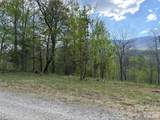000 Mt. Mitchell Drive - Photo 3