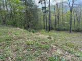 000 Mt. Mitchell Drive - Photo 8