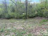 000 Mt. Mitchell Drive - Photo 9