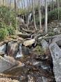 0 Beaver Dam Road - Photo 5