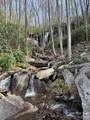 0 Beaver Dam Road - Photo 6